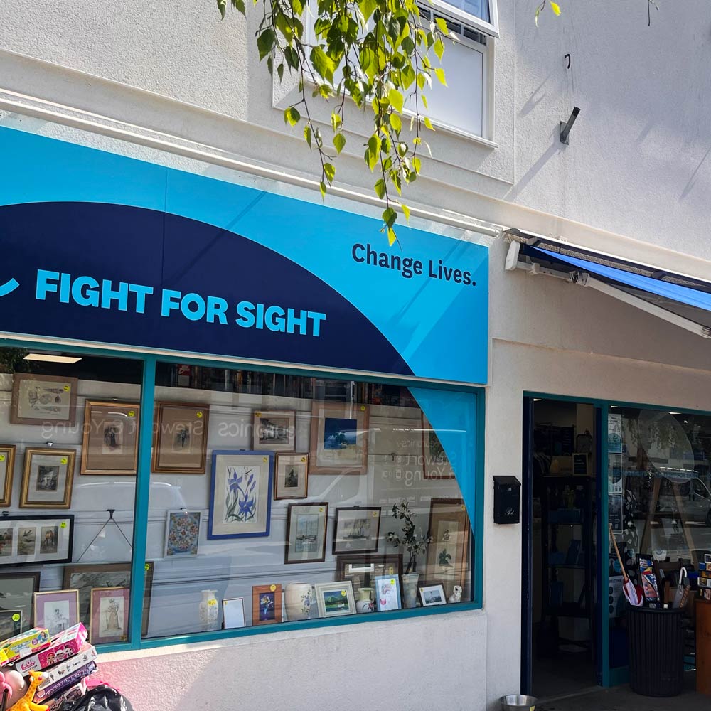 Fight For Sight image